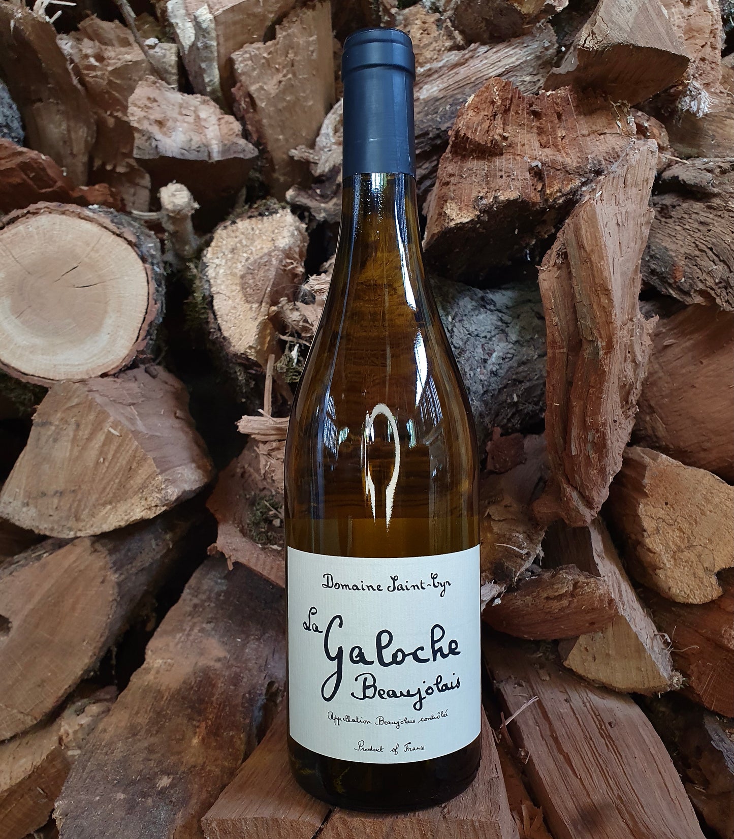 Domaine Saint Cyr, Beaujolais "La Galoche" blanc 2022