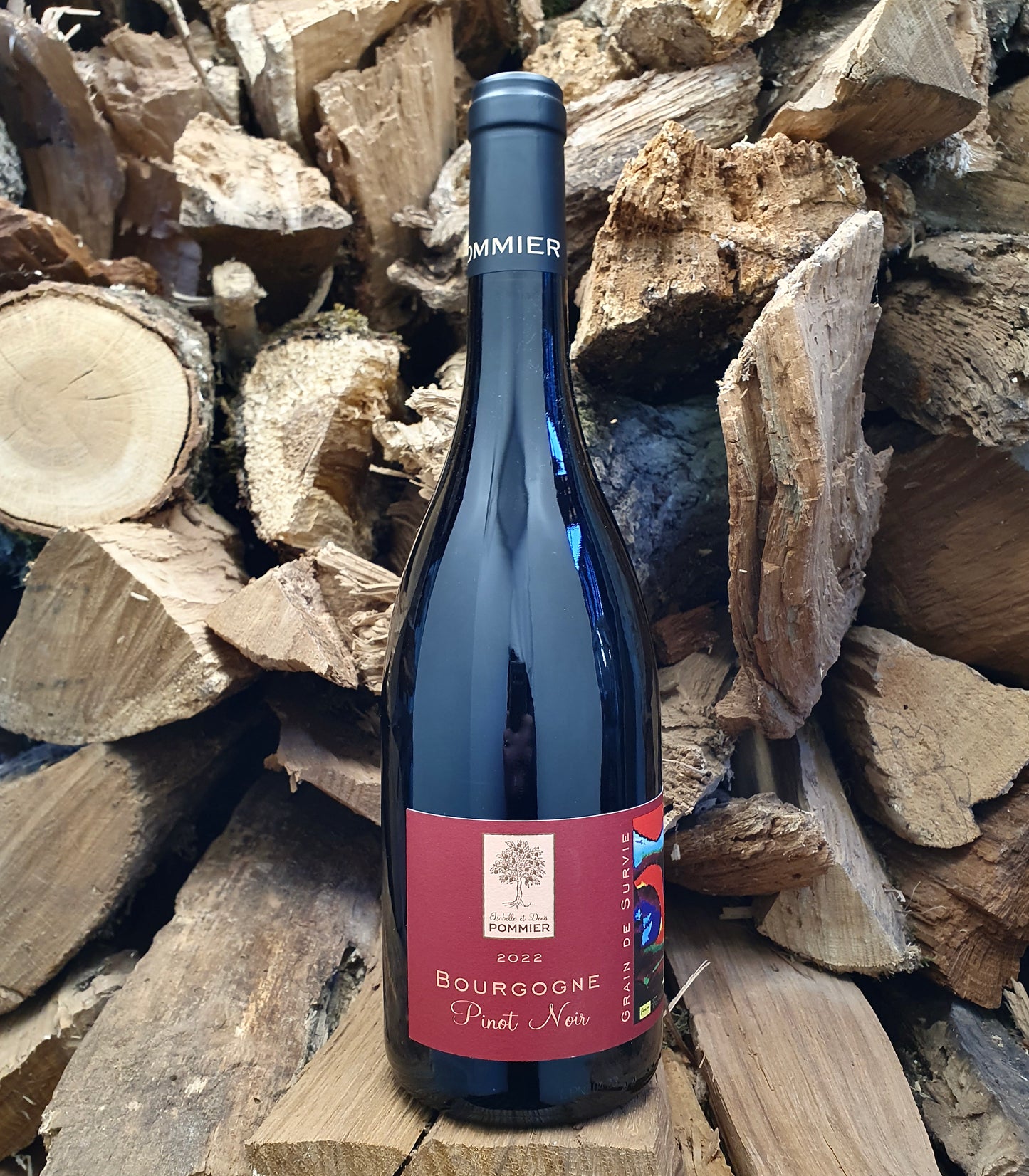 Domaine Pommier, Bourgogne "pinot noir" 2022